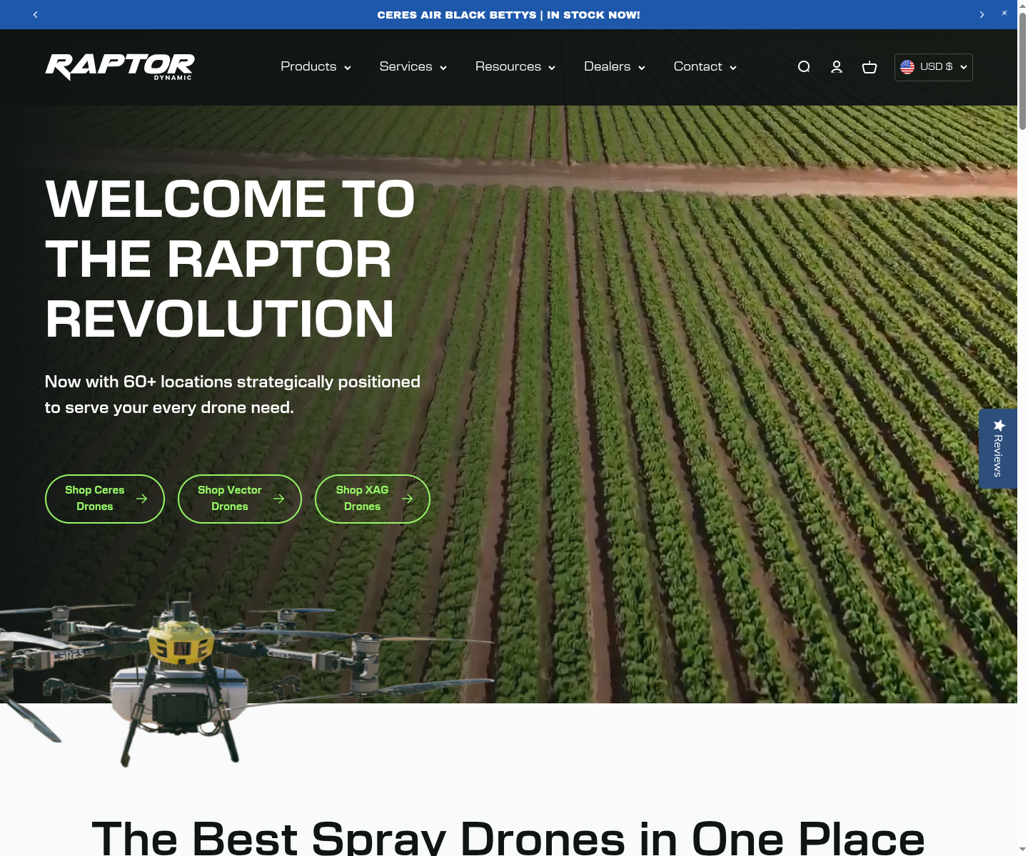 Homepage screenshot for Raptor Dynamic